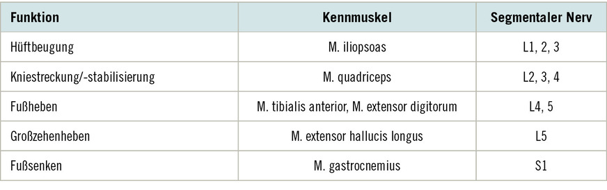 Tabelle 2:  Funktionen der unteren Extremität mit Kennmuskeln und segmentaler Innervation