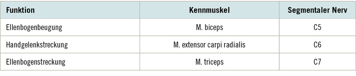 Tabelle 1:   Wichtigste Arm- und Handfunktionen mit ihren Kennmuskeln und den dazugehörigen segmentalen Nerven