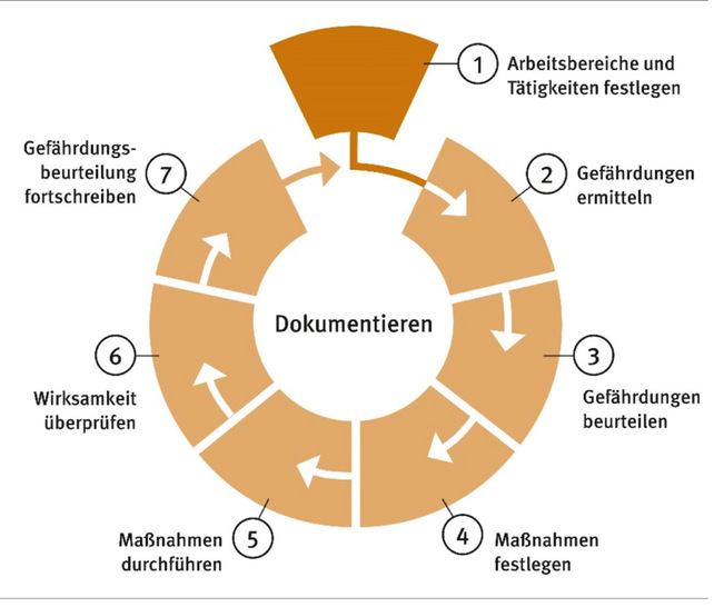 Abb. 1:    Sieben Schritte der Gefährdungsbeurteilung (Quelle: BGW) Abb. 1:    Sieben Schritte der Gefährdungsbeurteilung (Quelle: BGW)