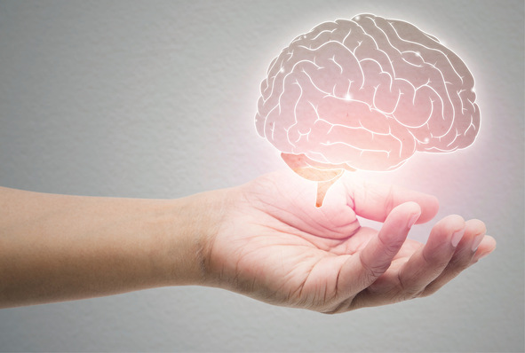 © Foto: eddows / stock.adobe.com